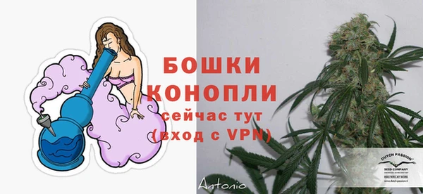 спиды Вязьма