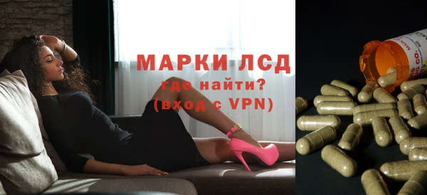 спиды Вязьма