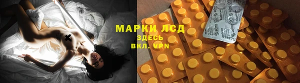 МДПВ Вяземский
