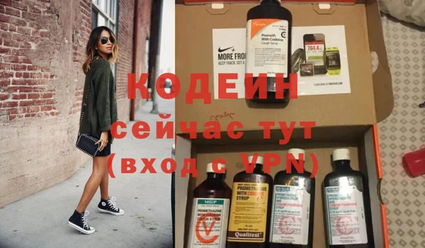 МДПВ Вяземский