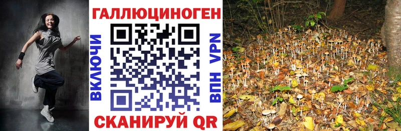 Купить где  Боровск  Галлюциногенные грибы ЛСД 