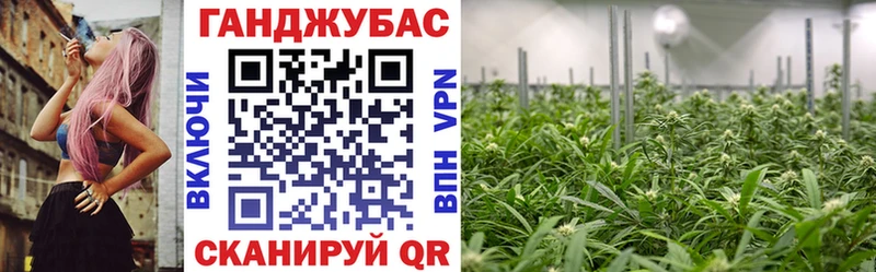 Бошки Шишки конопля  Купить закладки  Боровск 